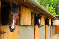 free Bicton Heath stable construction quotes